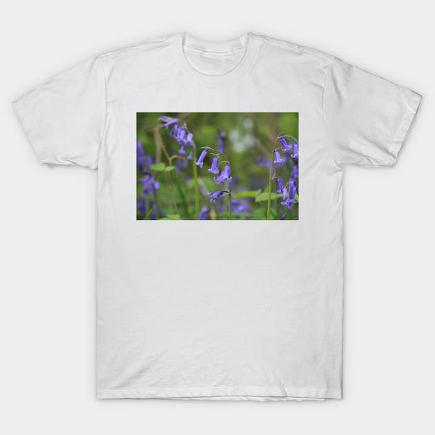 Bluebell up close T-Shirt by Tovers